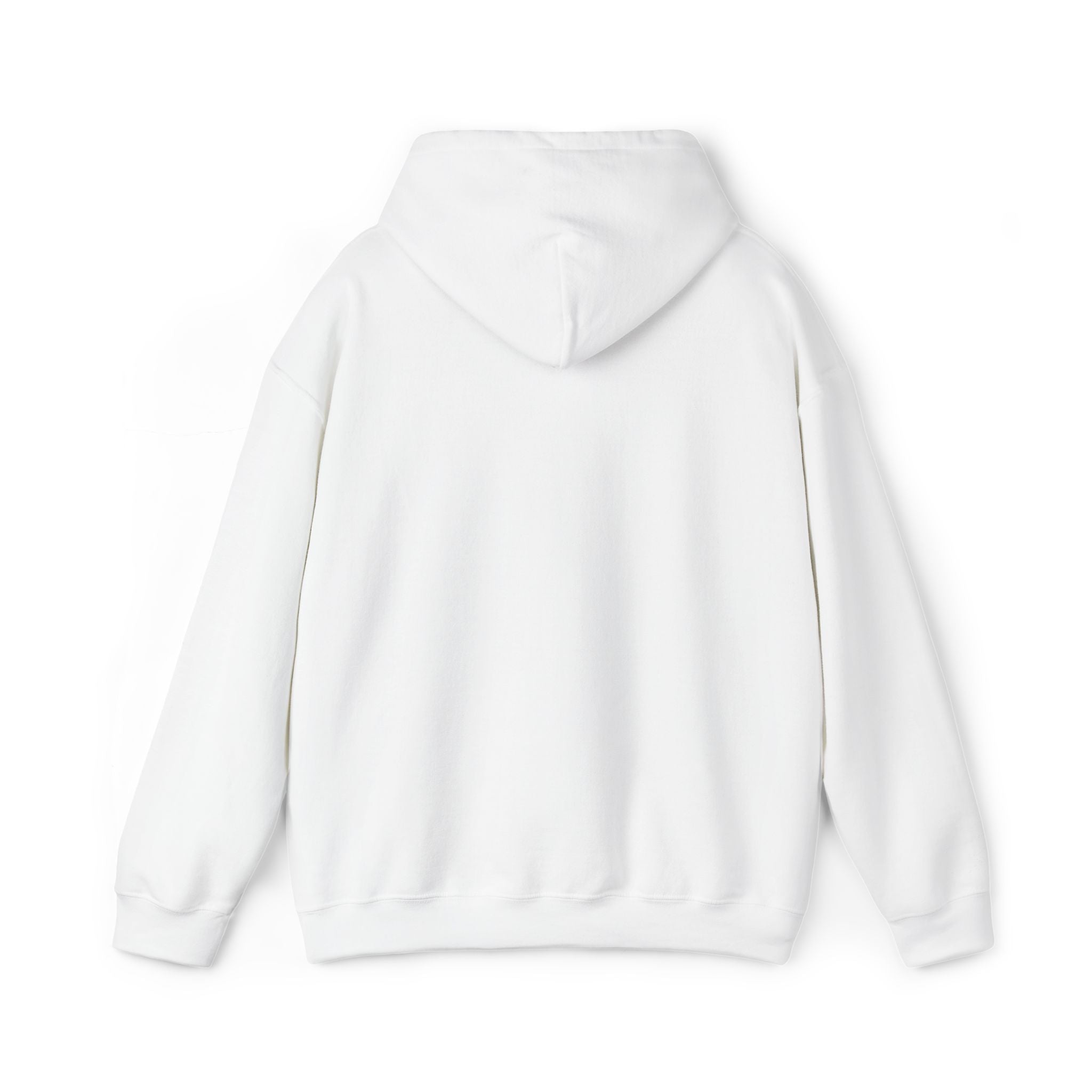 VVYRA Embroidered Hoodie