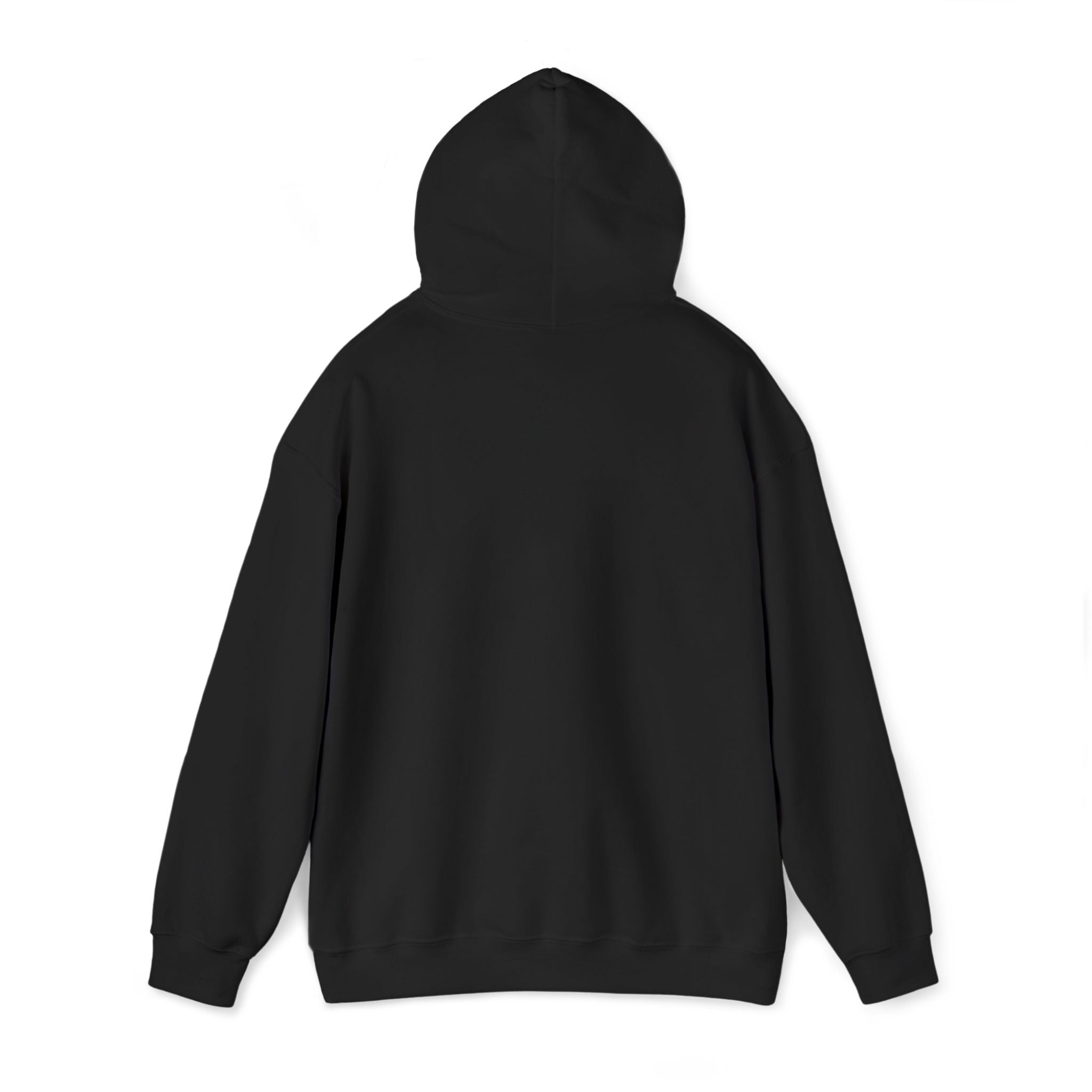 VVYRA Embroidered Hoodie