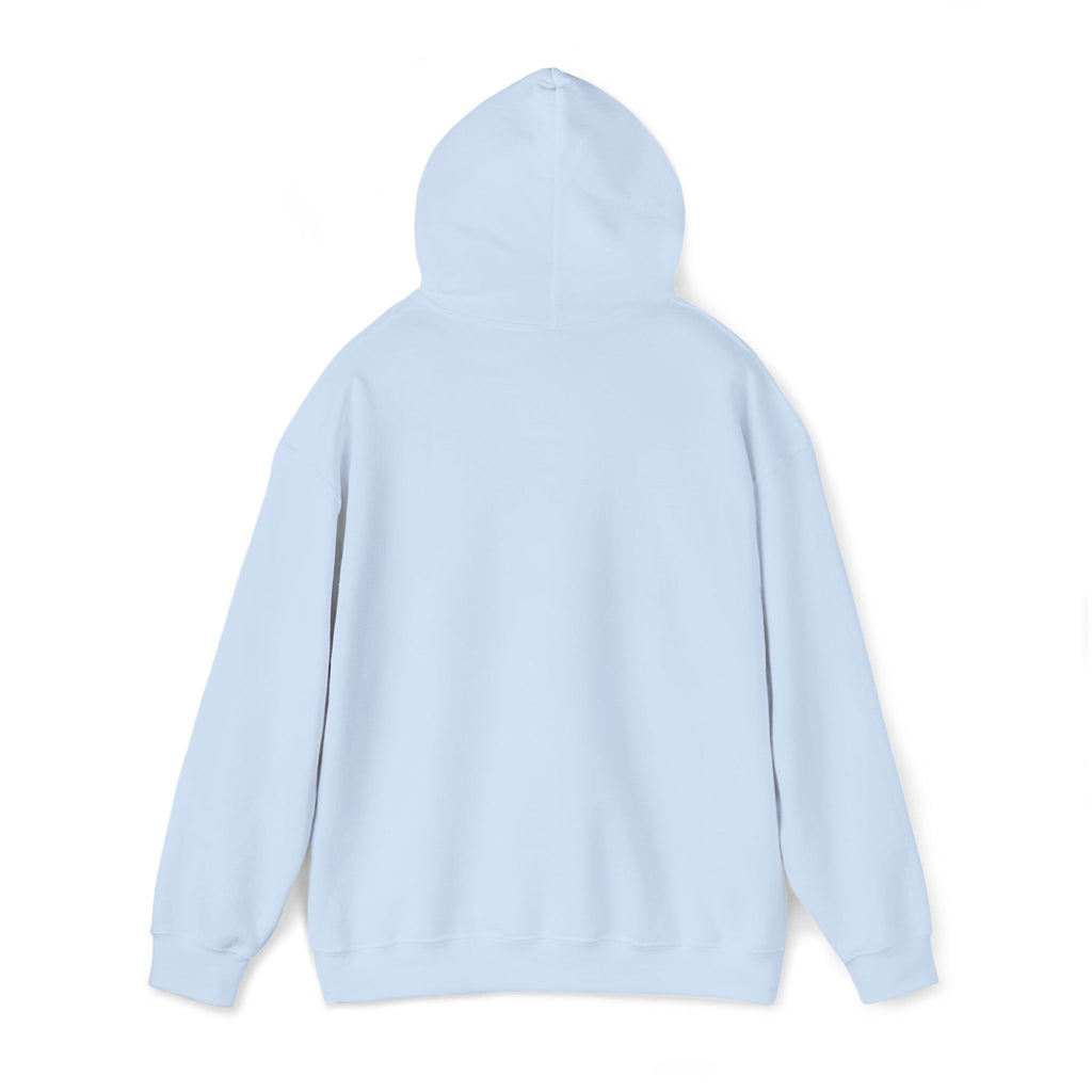 VVYRA Embroidered Hoodie