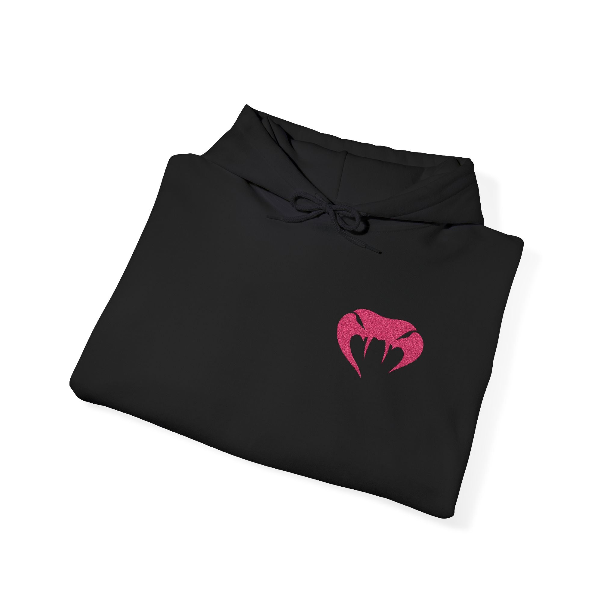 VVYRA Embroidered Hoodie