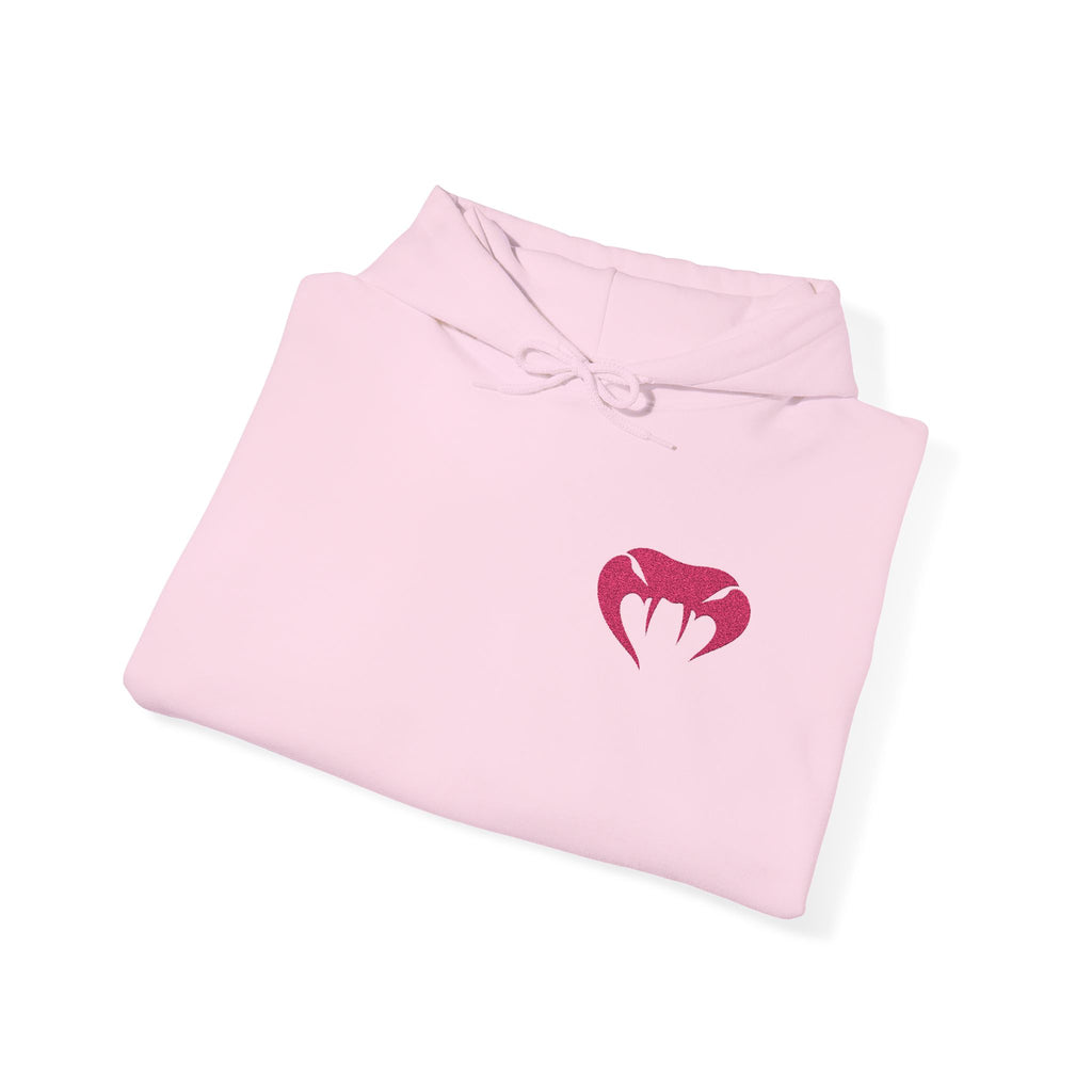 VVYRA Embroidered Hoodie