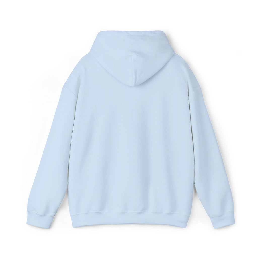 VVYRA Embroidered Hoodie