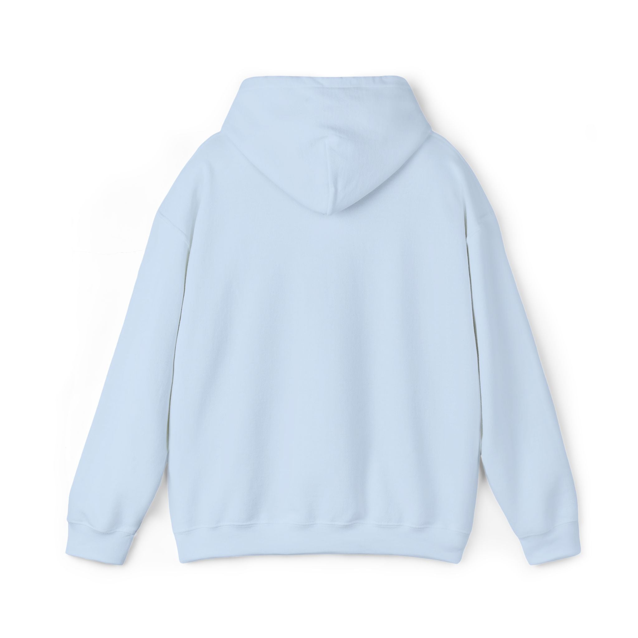 VVYRA Embroidered Hoodie