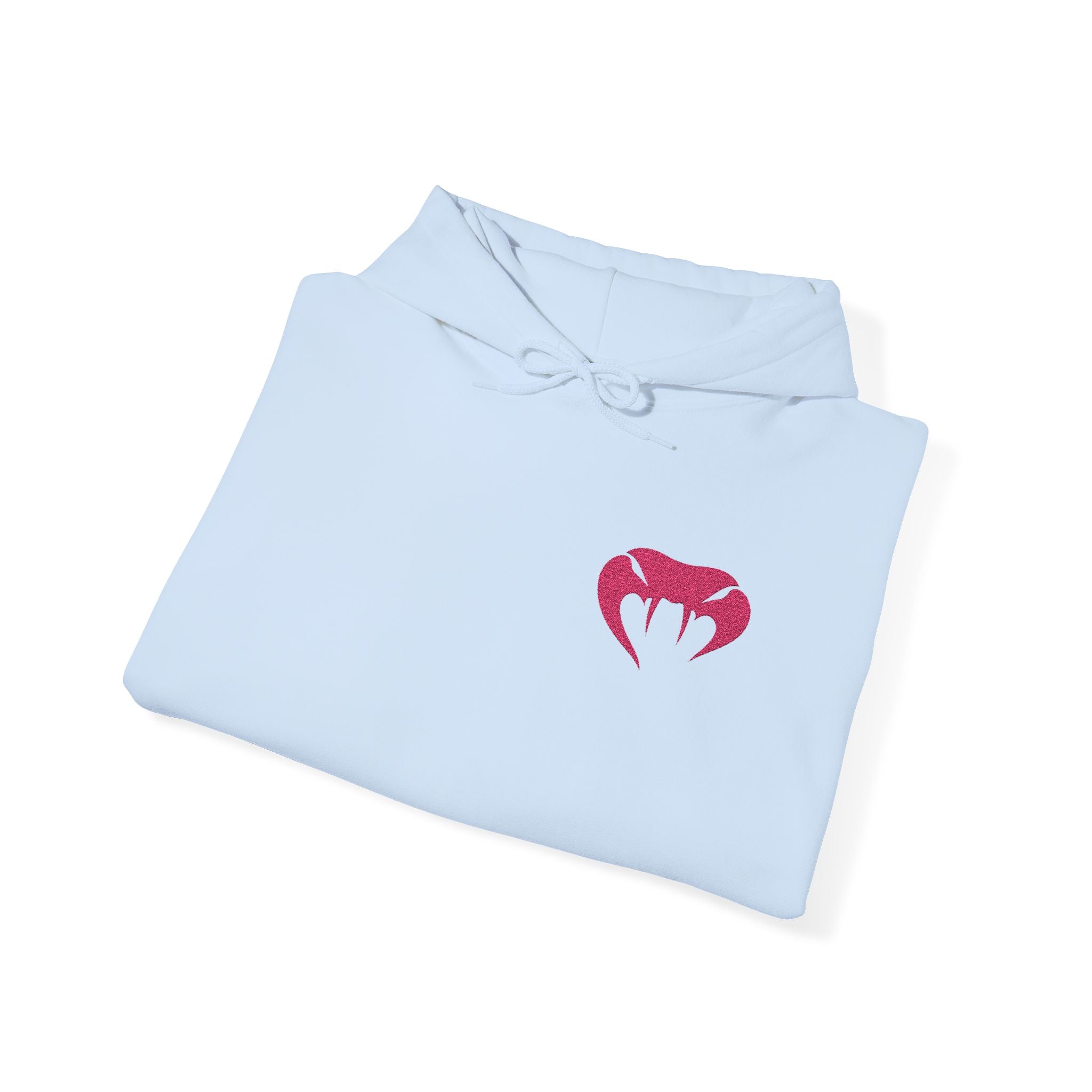 VVYRA Embroidered Hoodie