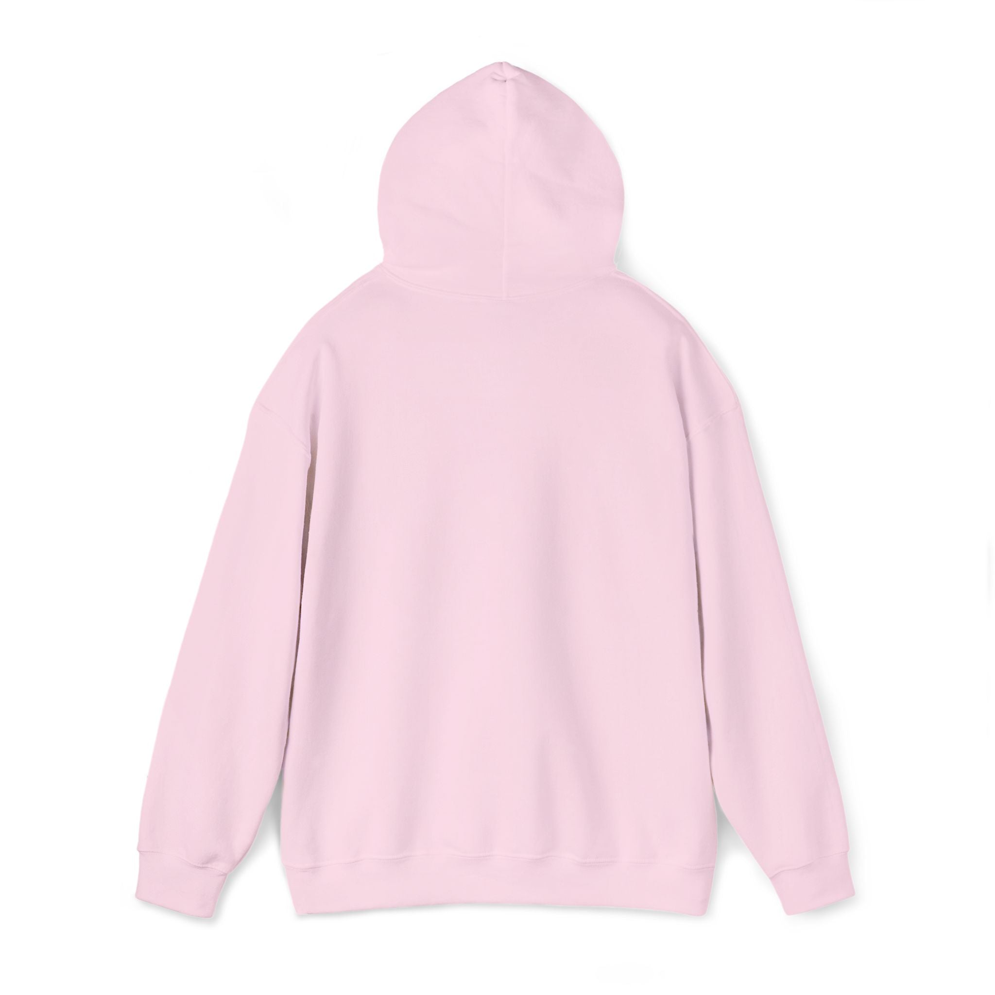 VVYRA Embroidered Hoodie