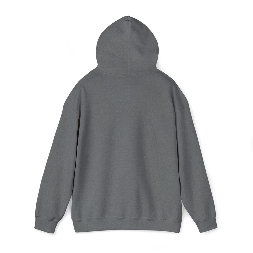 VVYRA Embroidered Hoodie